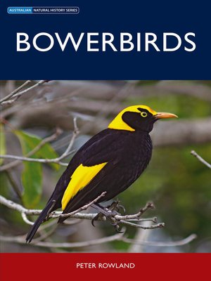 cover image of Bowerbirds